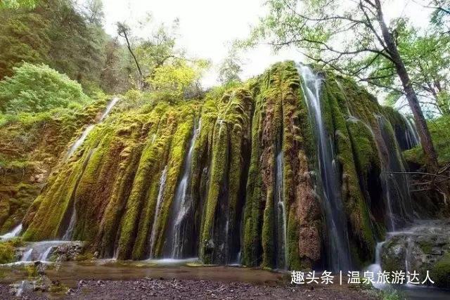 观察者